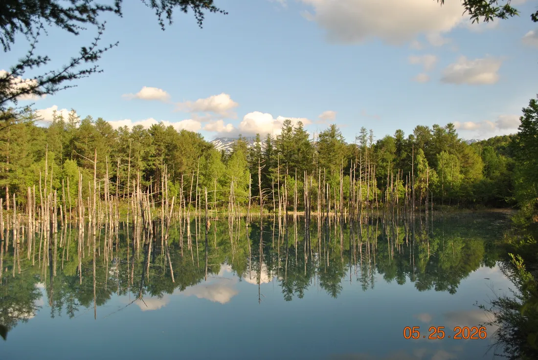 the Blue Pond near Biei