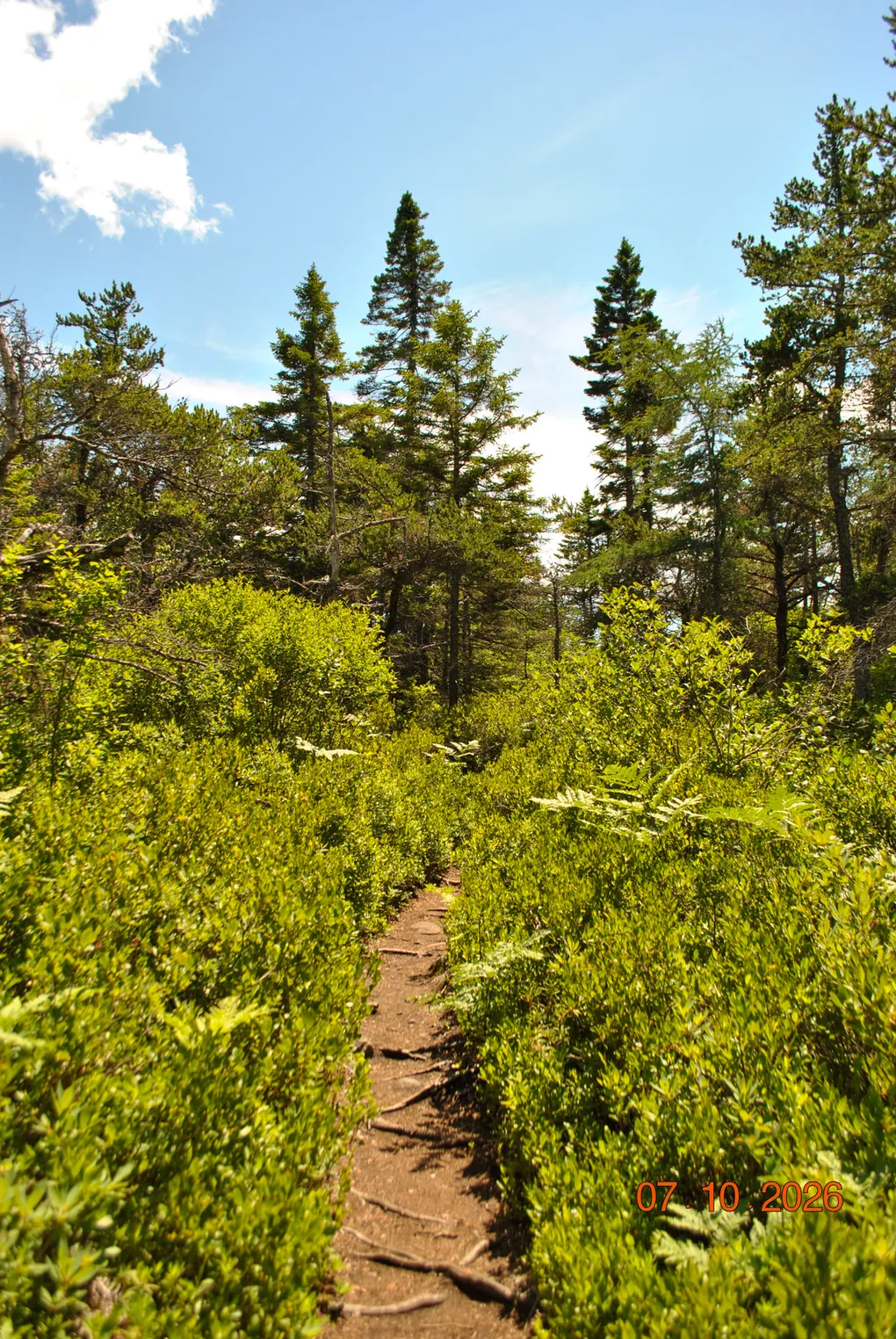 The trail through the Maine Coastal National Wildlife Refuge.