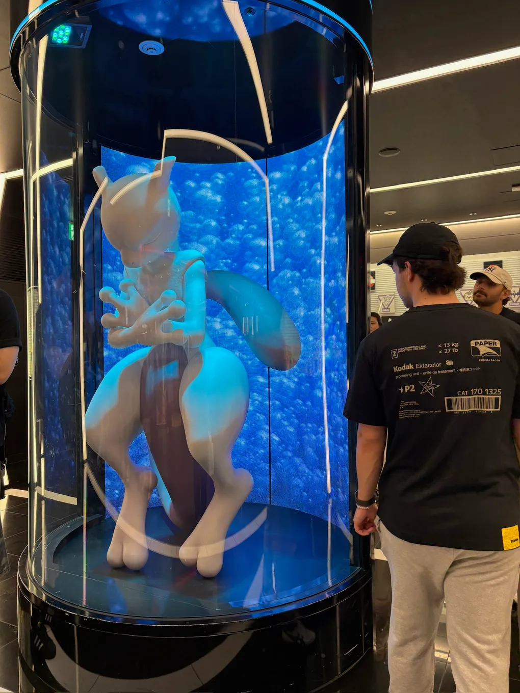 The Mewtwo tank at the Pokemon Center. We are adults.