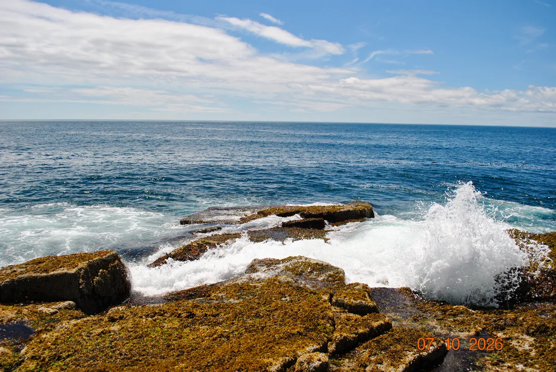 looking out from Schoodic Head