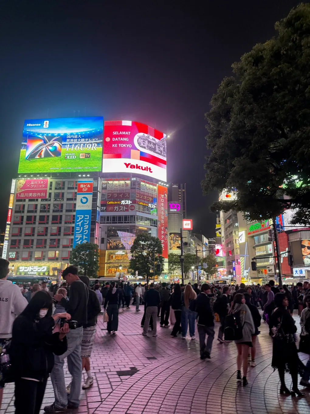 Shibuya at night, a couple of hours after landing and well past when we should've been asleep.